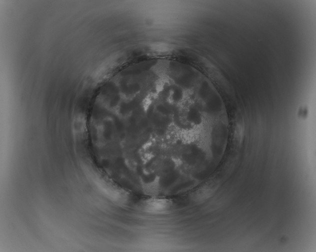 X0000111460711200907131455