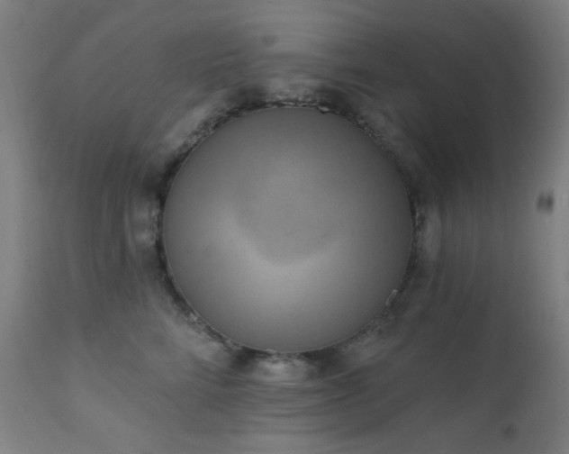X0000111460712200907131455