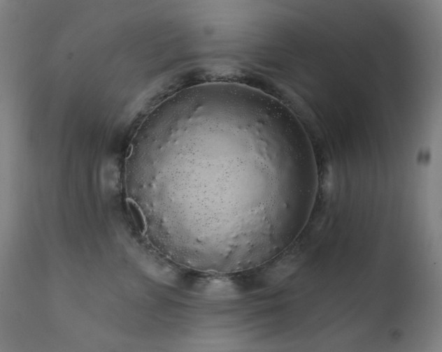 X0000111460715200907131455