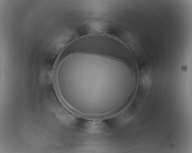 X0000111460716200907131455