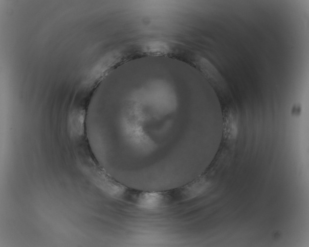 X0000111460717200907131455