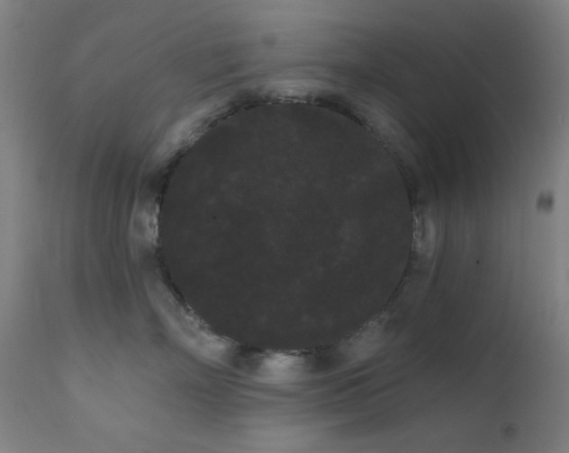 X0000111460718200907131455