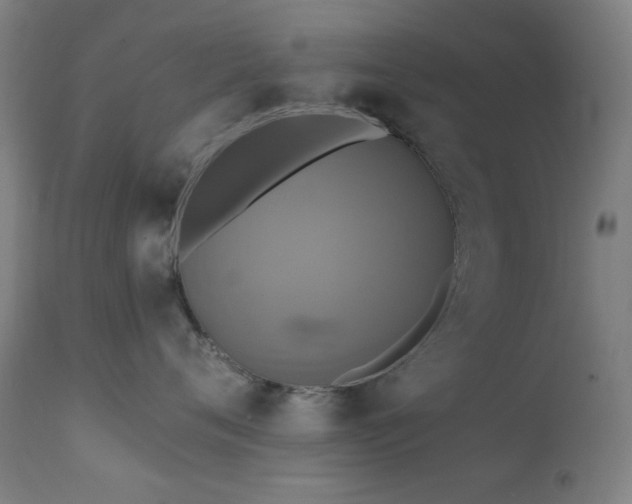 X0000111460720200907131455