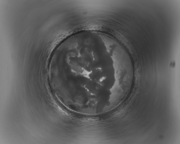 X0000111460721200907131455
