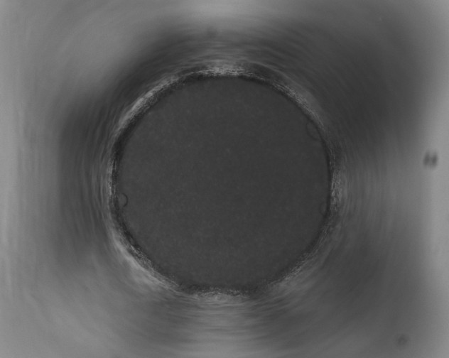 X0000111460722200907131455