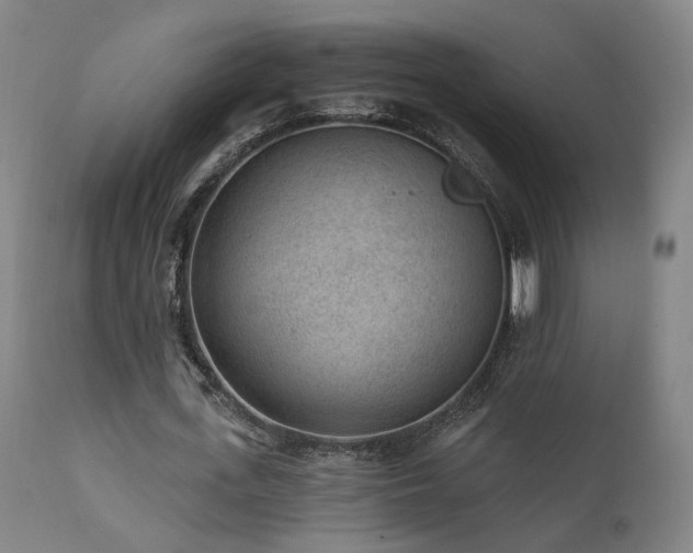 X0000111460723200907131455