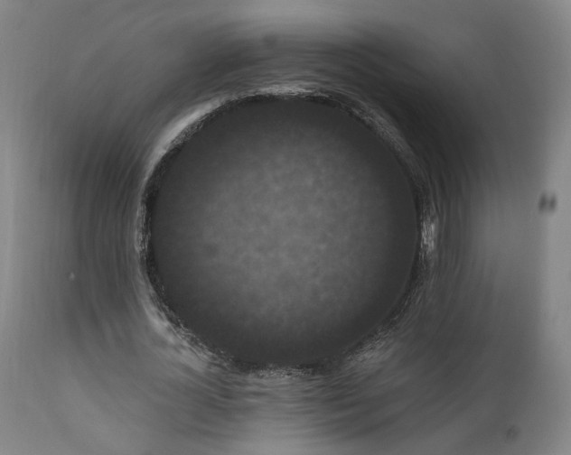 X0000111460724200907131455