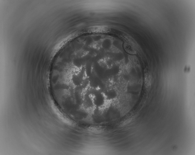 X0000111460725200907131455