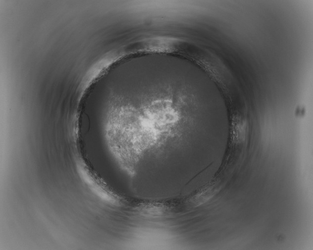 X0000111460726200907131455