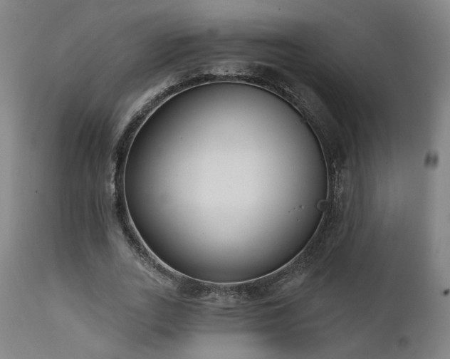 X0000111460727200907131455