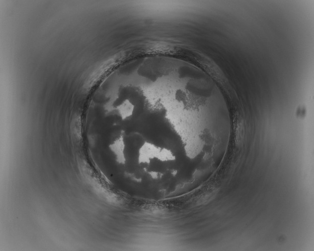X0000111460729200907131455