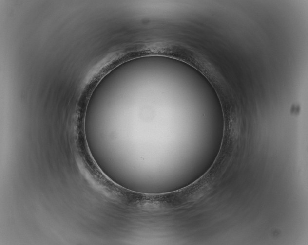 X0000111460730200907131455