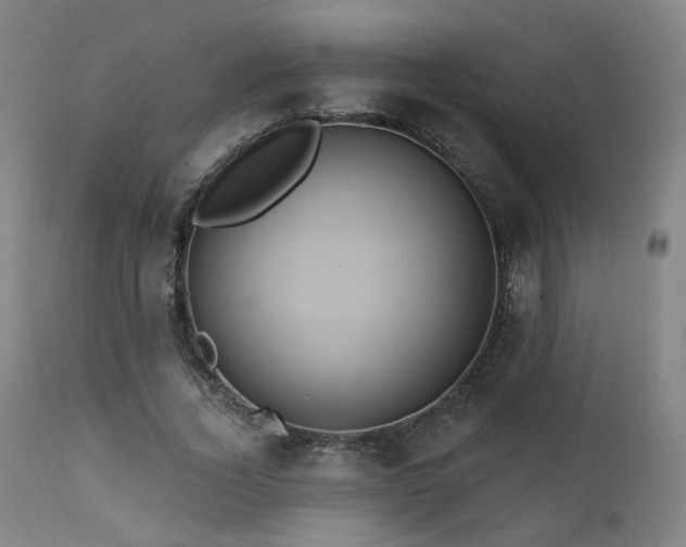 X0000111460732200907131455