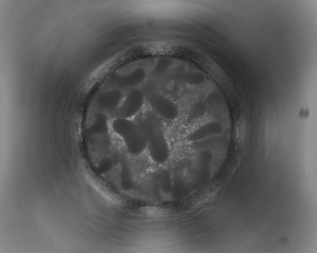 X0000111460733200907131455