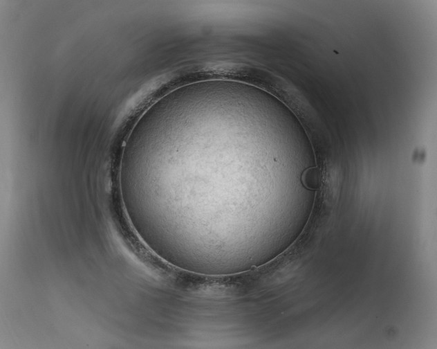 X0000111460734200907131455
