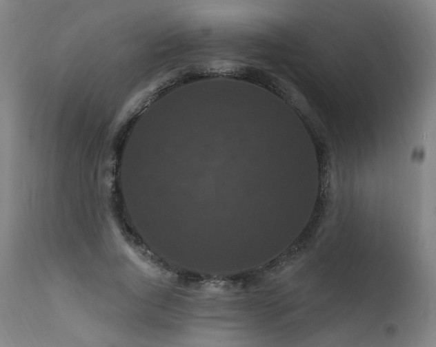 X0000111460736200907131455