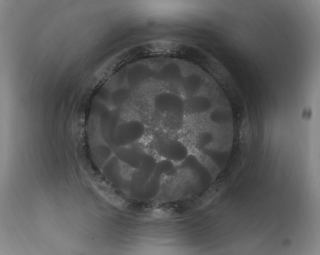 X0000111460737200907131455