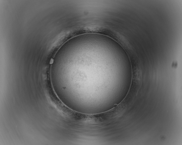 X0000111460738200907131455