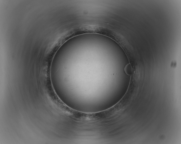 X0000111460739200907131455