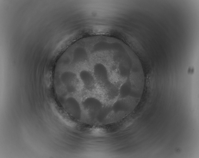 X0000111460741200907131455