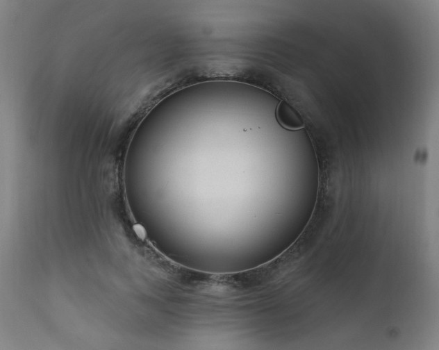 X0000111460743200907131455