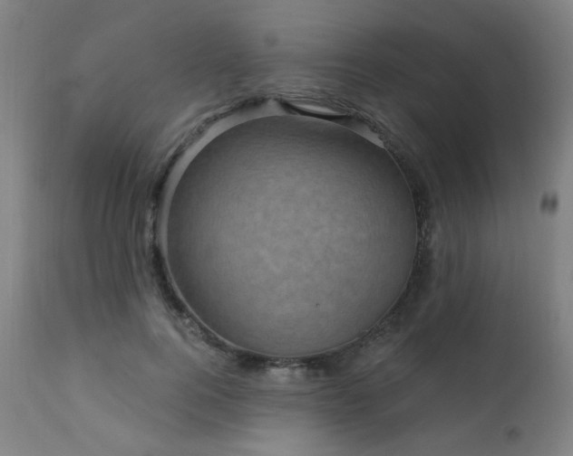 X0000111460744200907131455