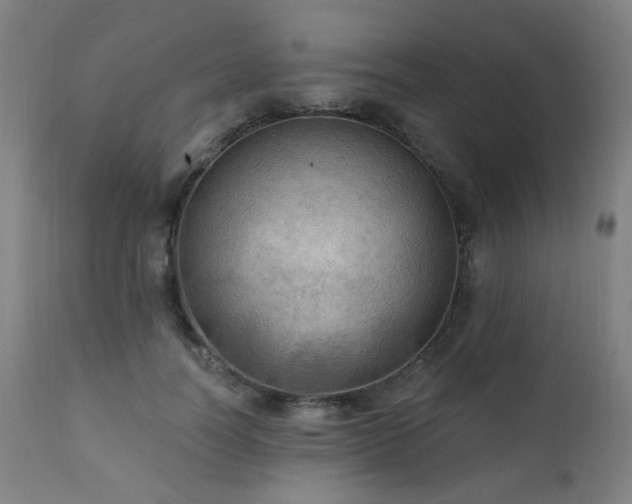 X0000111460746200907131455