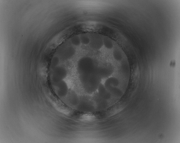 X0000111460749200907131455