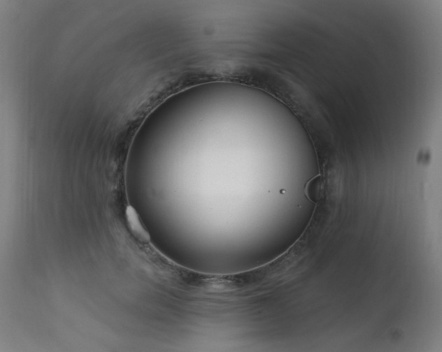 X0000111460750200907131455