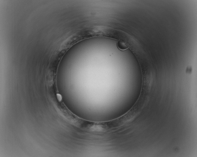 X0000111460751200907131455