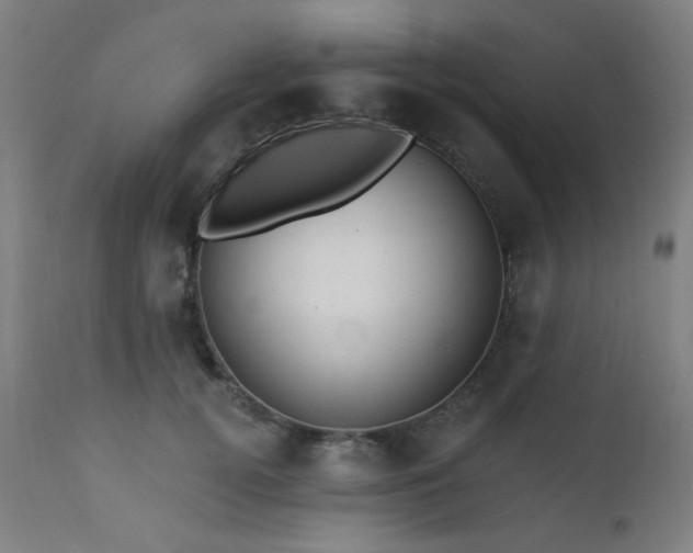 X0000111460752200907131455