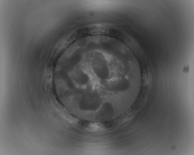 X0000111460753200907131455