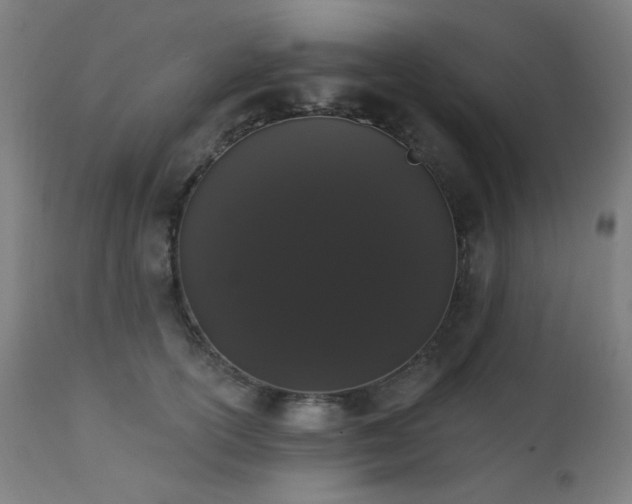 X0000111460754200907131455