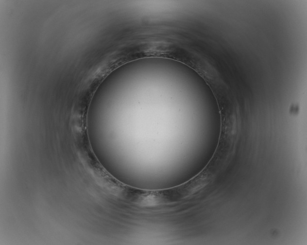 X0000111460755200907131455