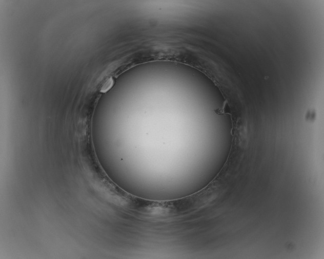X0000111460756200907131455