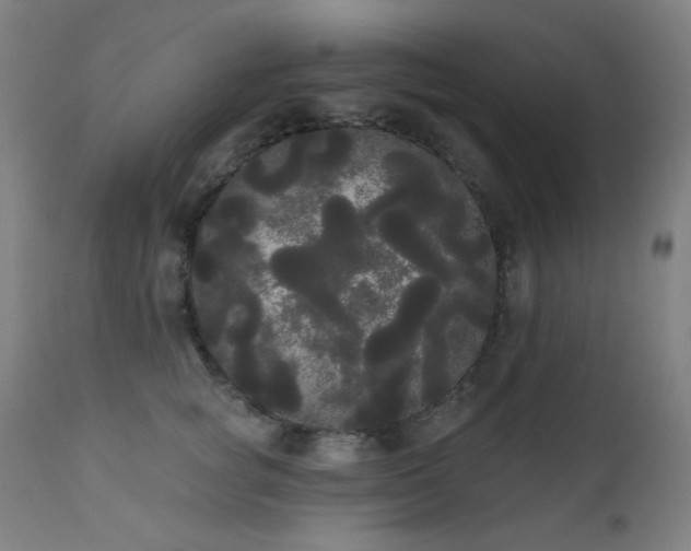 X0000111460757200907131455