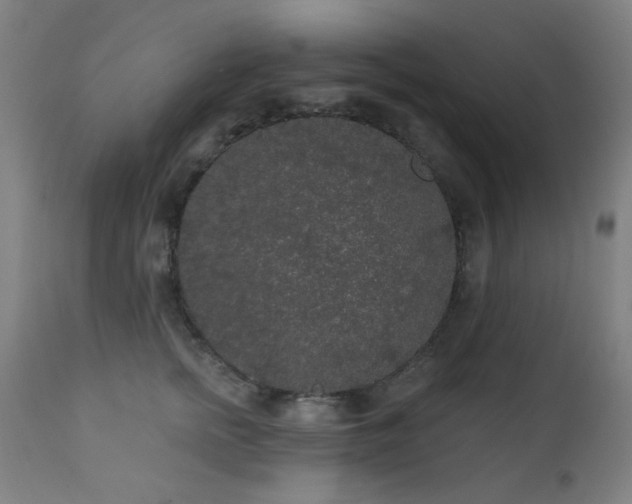 X0000111460758200907131455