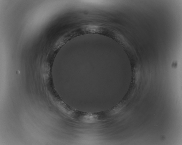 X0000111460760200907131455