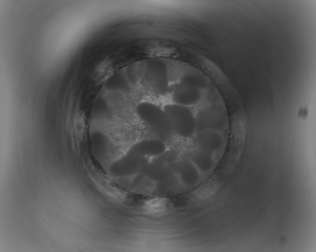 X0000111460761200907131455