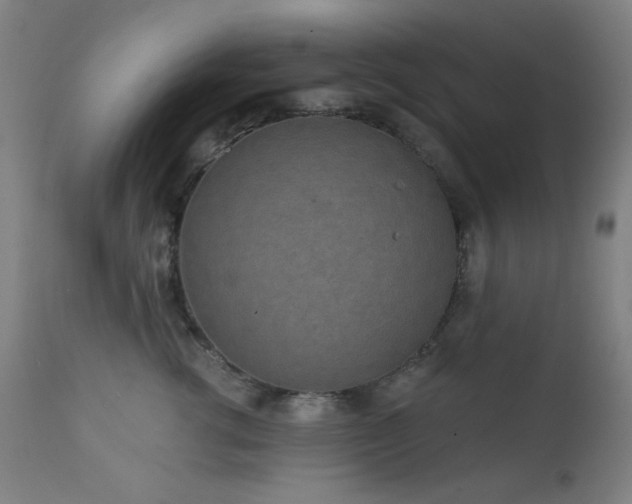 X0000111460762200907131455