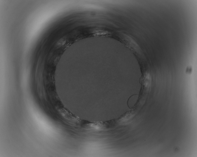 X0000111460763200907131455