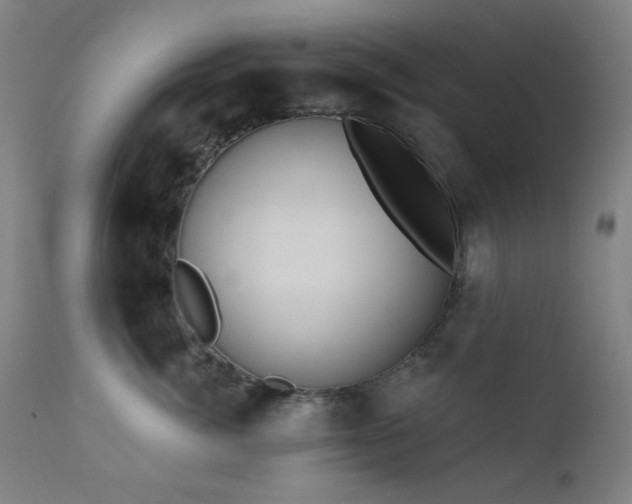 X0000111460764200907131455