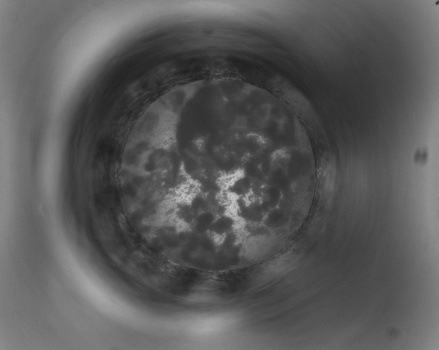 X0000111460765200907131455