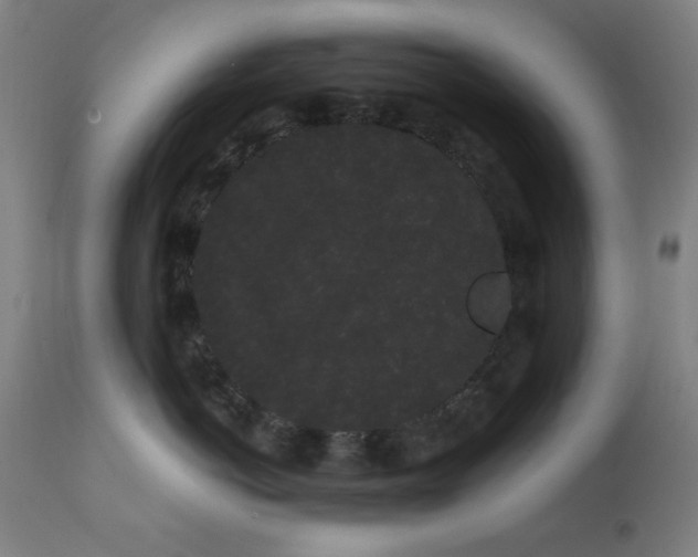 X0000111460766200907131455