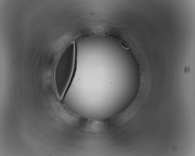 X0000111460768200907131455