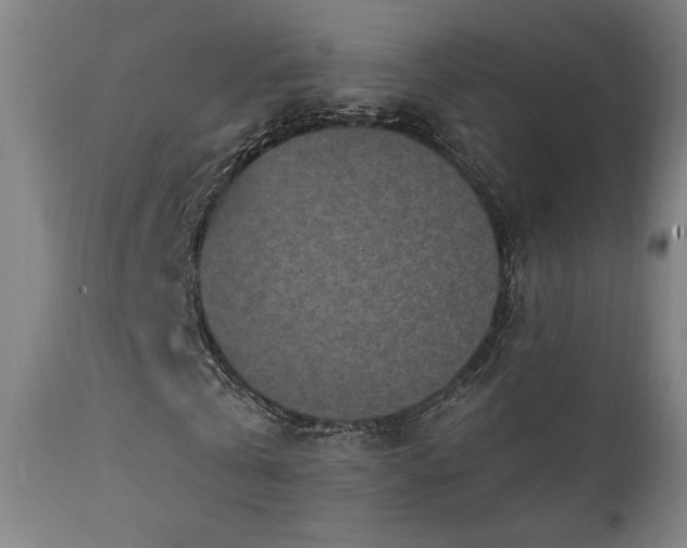 X0000111460769200907131455