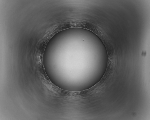 X0000111460770200907131454