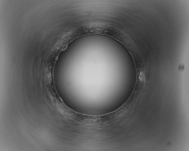 X0000111460771200907131454