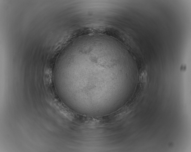 X0000111460772200907131454