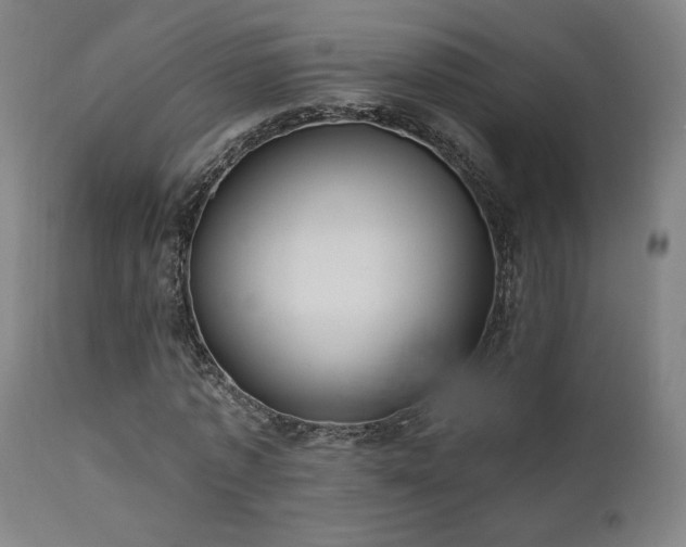 X0000111460773200907131454